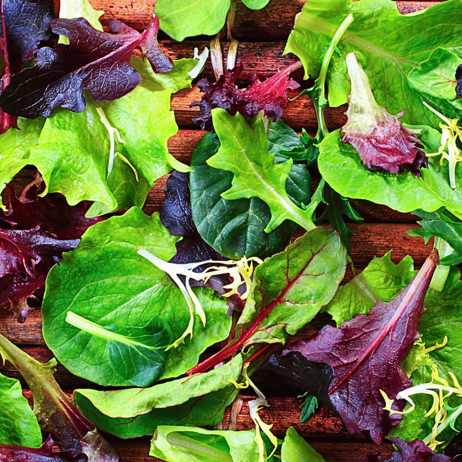 Mixed Lettuce, NutriHydro