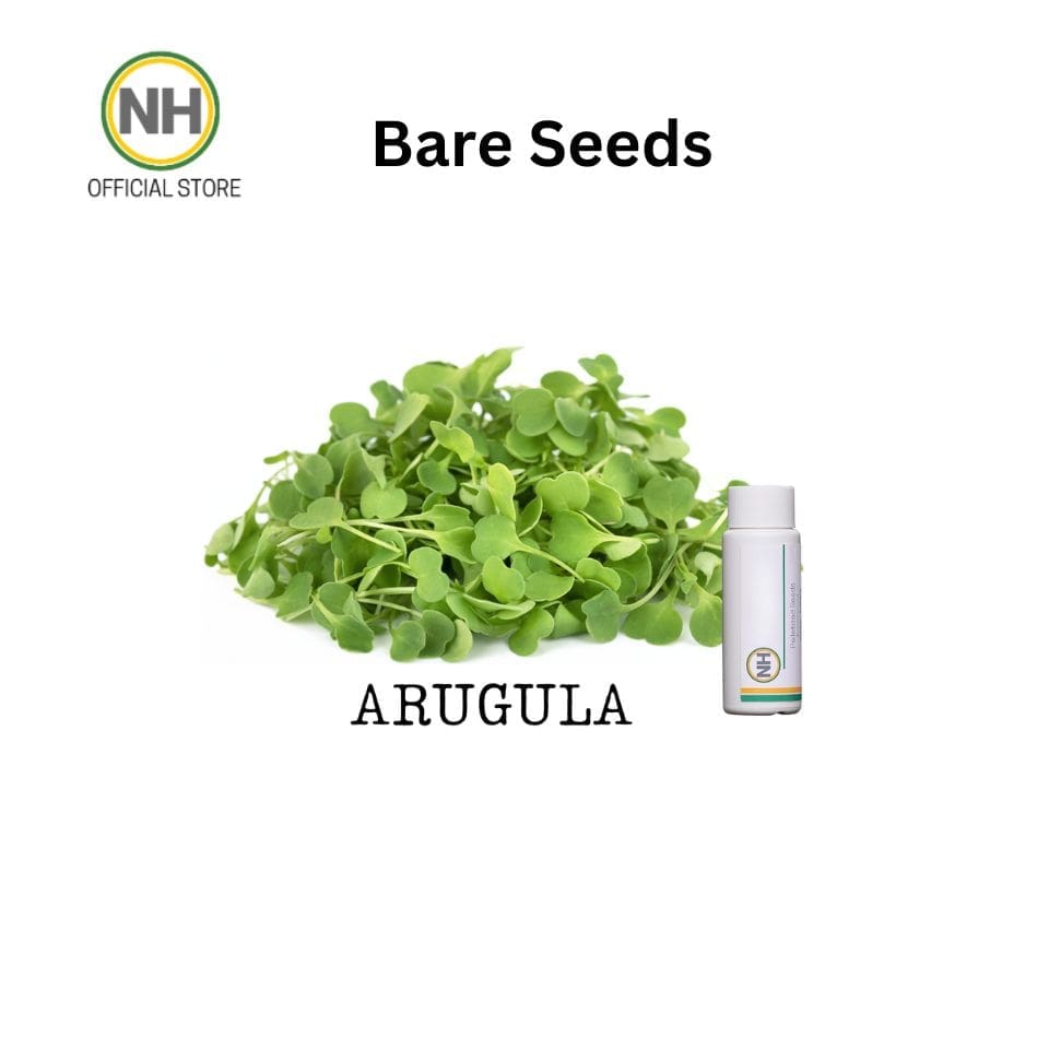 Arugula
