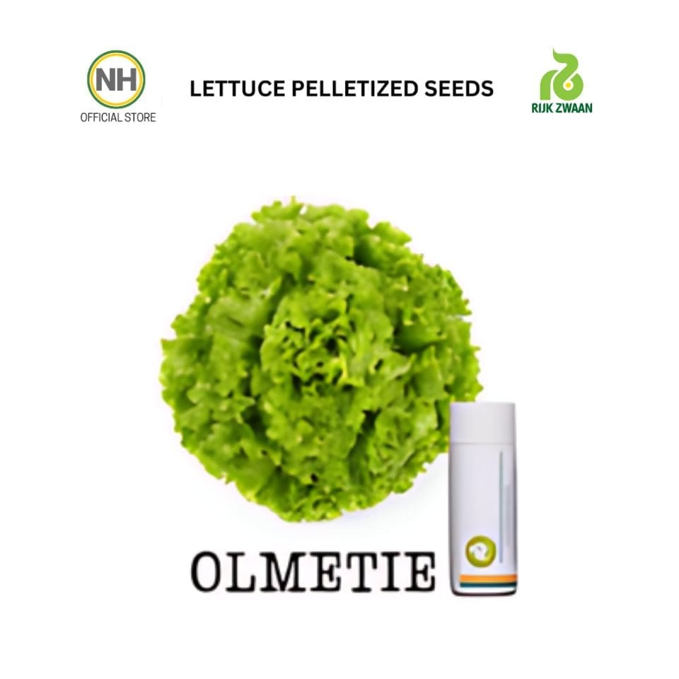 Olmetie