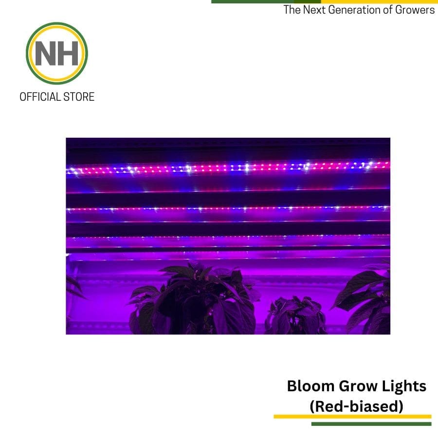 Bloom Grow Light