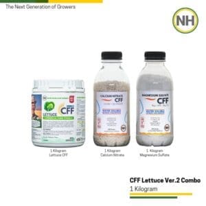Lettuce CFF - Combo
