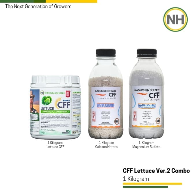 Lettuce CFF - Combo