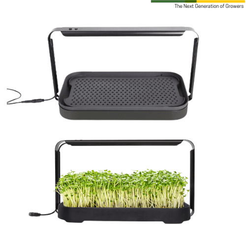 Microgreens Indoor Growing Set - Image 2