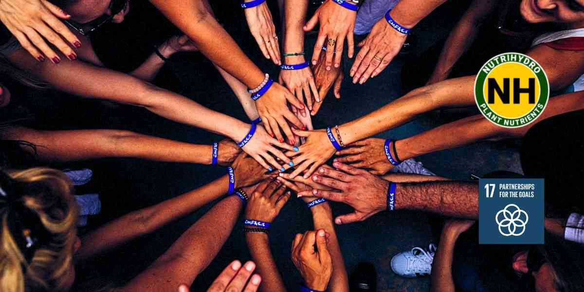 SDG 17: Partnerships for the Goals