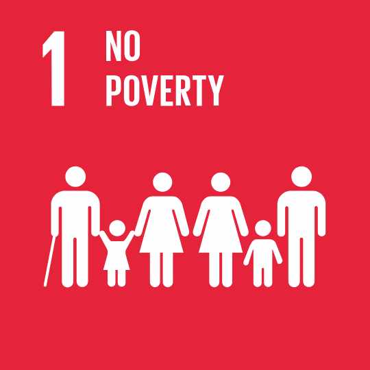 SDG 1 No Poverty