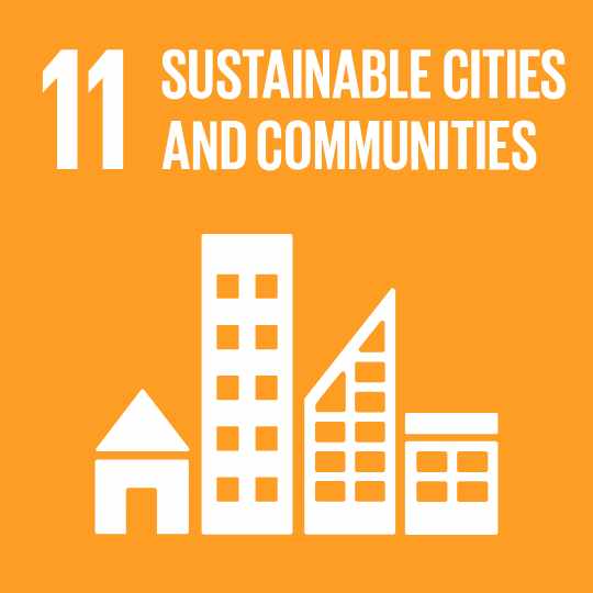 SDG 11 Sustainable Cities & Communities