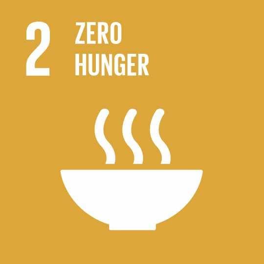 SDG 2 Zero Hunger