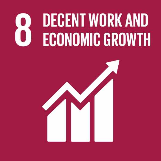 SDG 8 Decent Work & Economic Growth