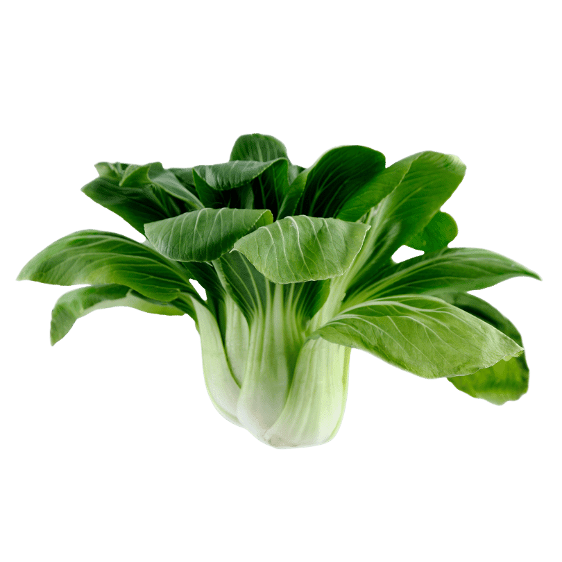 Bokchoi