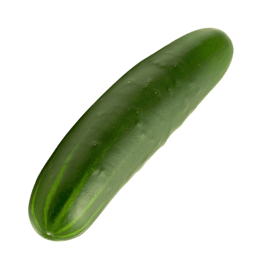 Cucumber