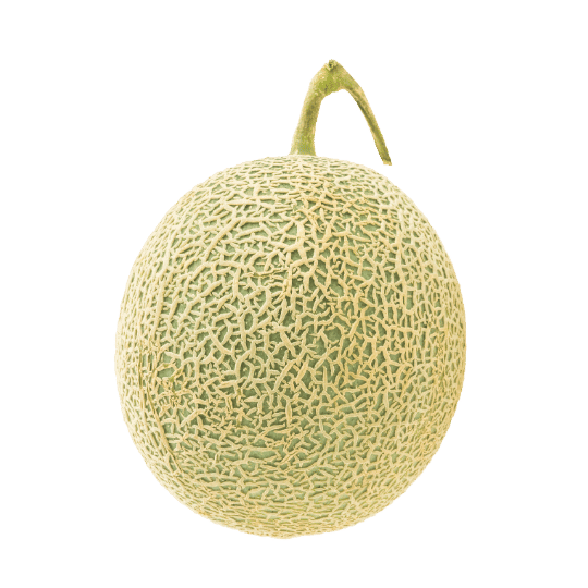 Melon