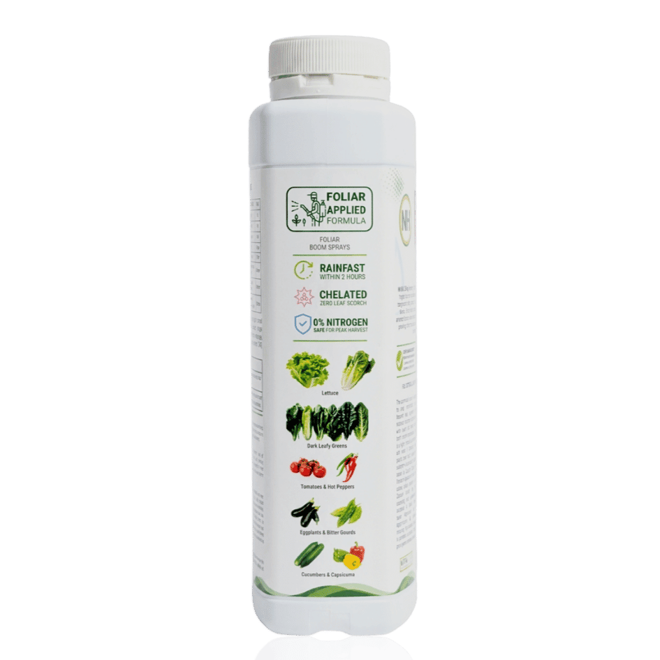 NH Bio CalMag Protect Plus | Premium Foliar Fertilizer for Tipburn, Stress, & Canopy Recovery - Image 3