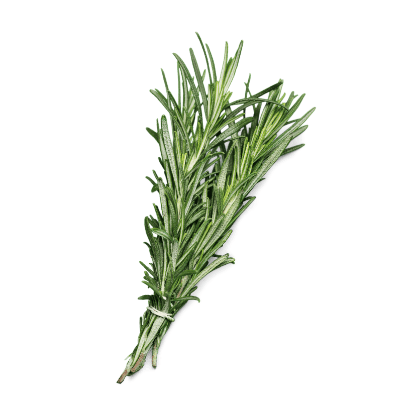 Rosemary