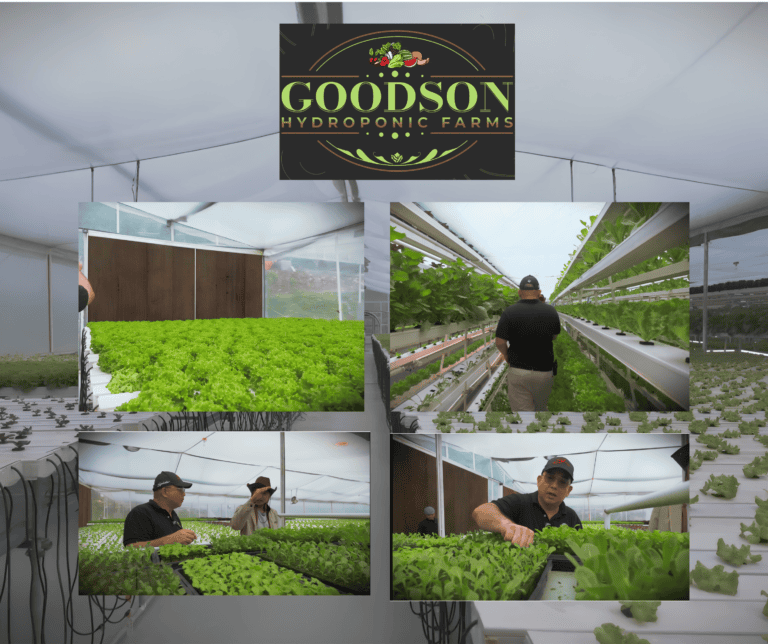 A Farm Built to Last in Sogod, Cebu
