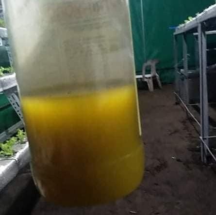 Murky Solution B