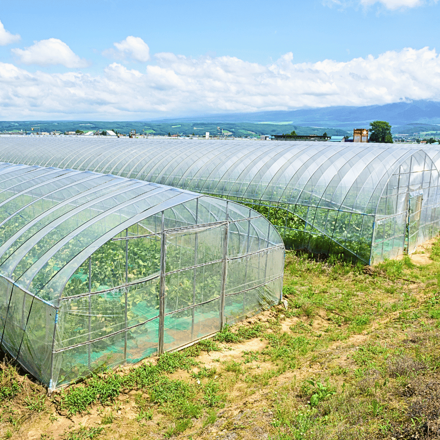 Greenhouse | NutriHydro