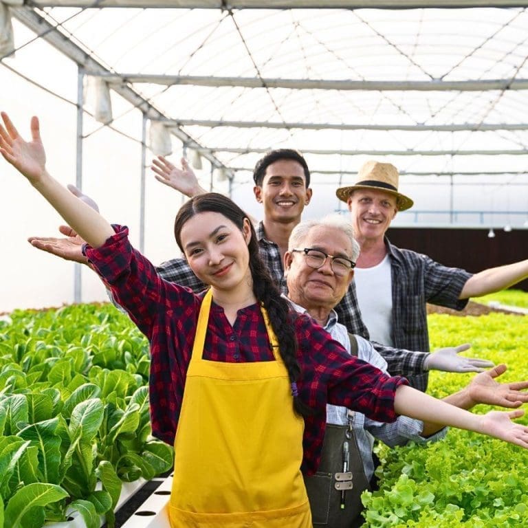 Nutrient Protocol in Growing Lettuce Using NutriHydro