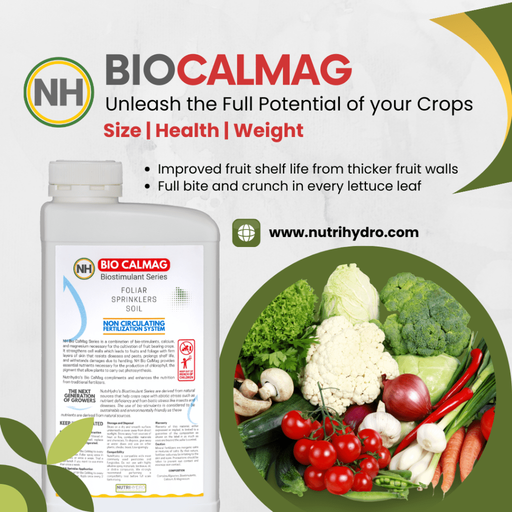 Bicalmag