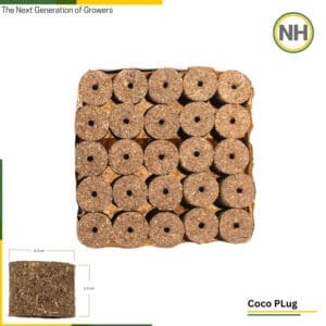 Coco Plugs