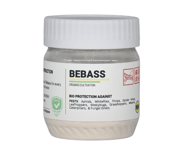 NH Bebass