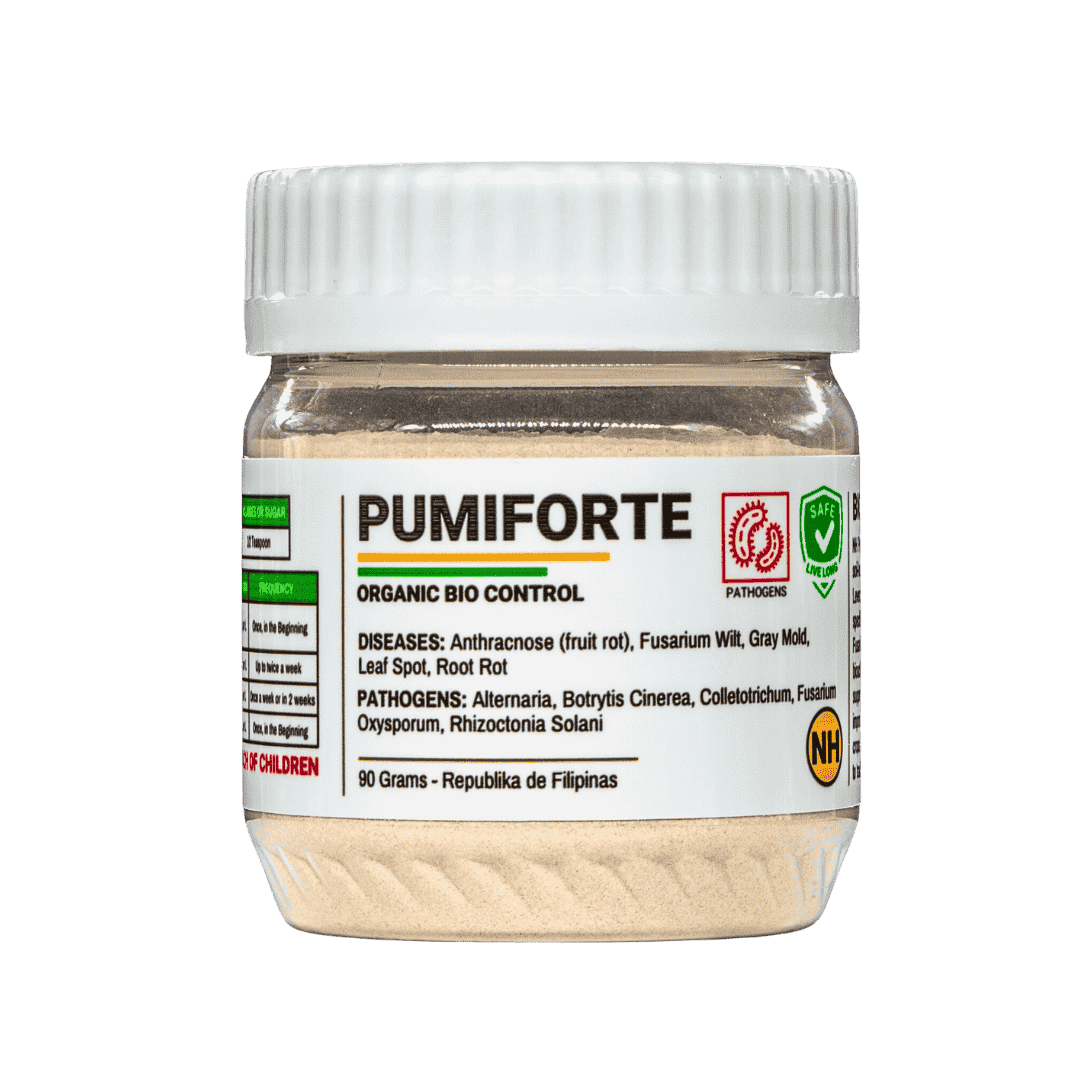 NH Pumiforte