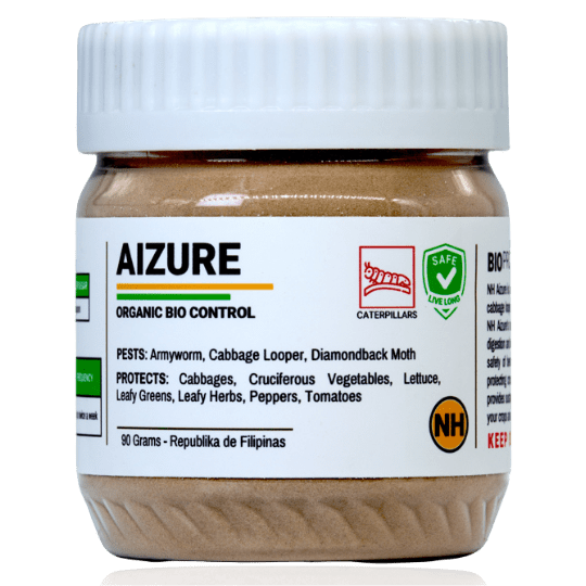 NH Aizure