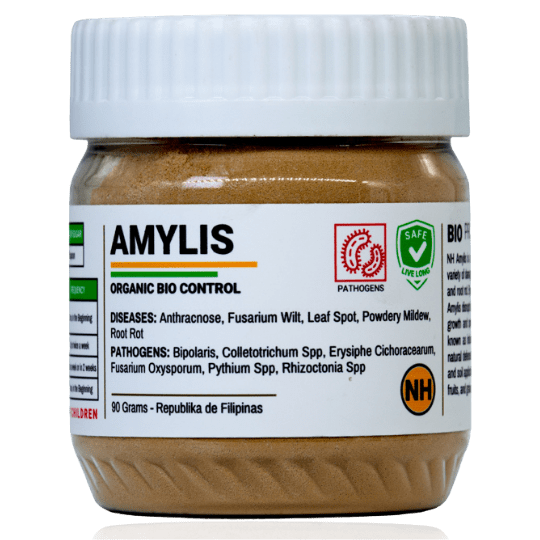NH Amylis