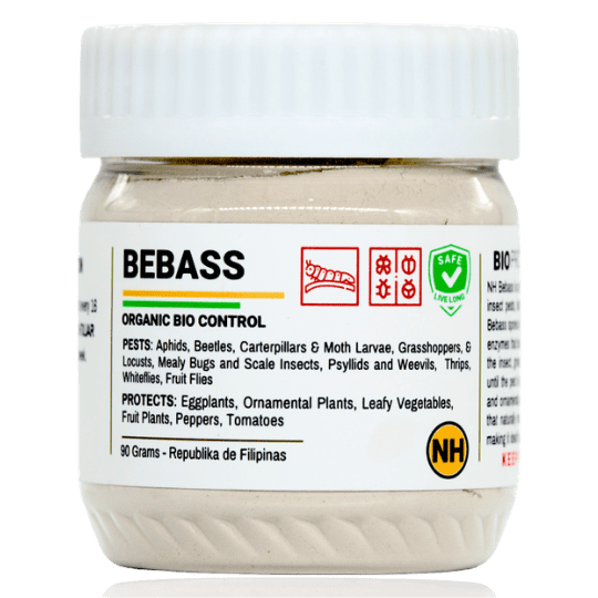 NH Bebass