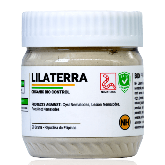 NH Lilaterra