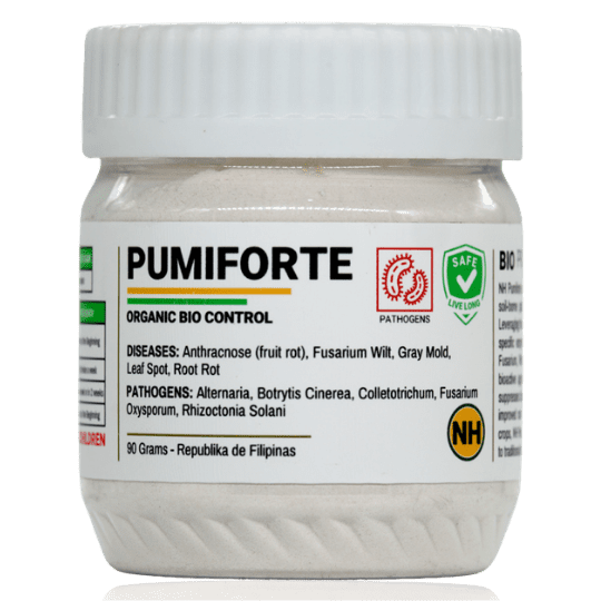 NH Pumiforte