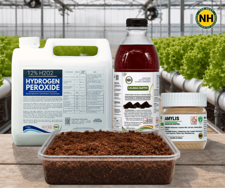 Cocopeat Preparation